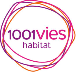 1001 vies